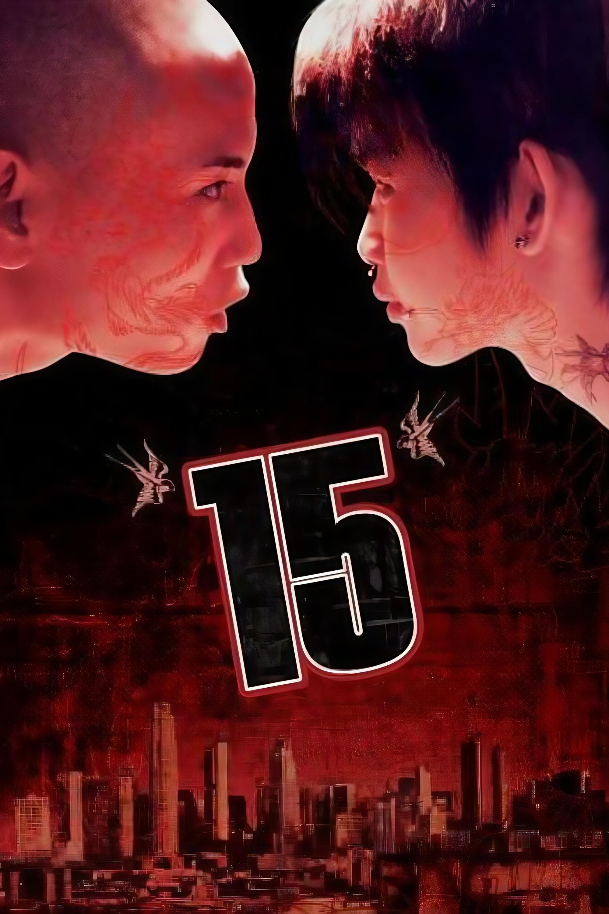 Poster 15