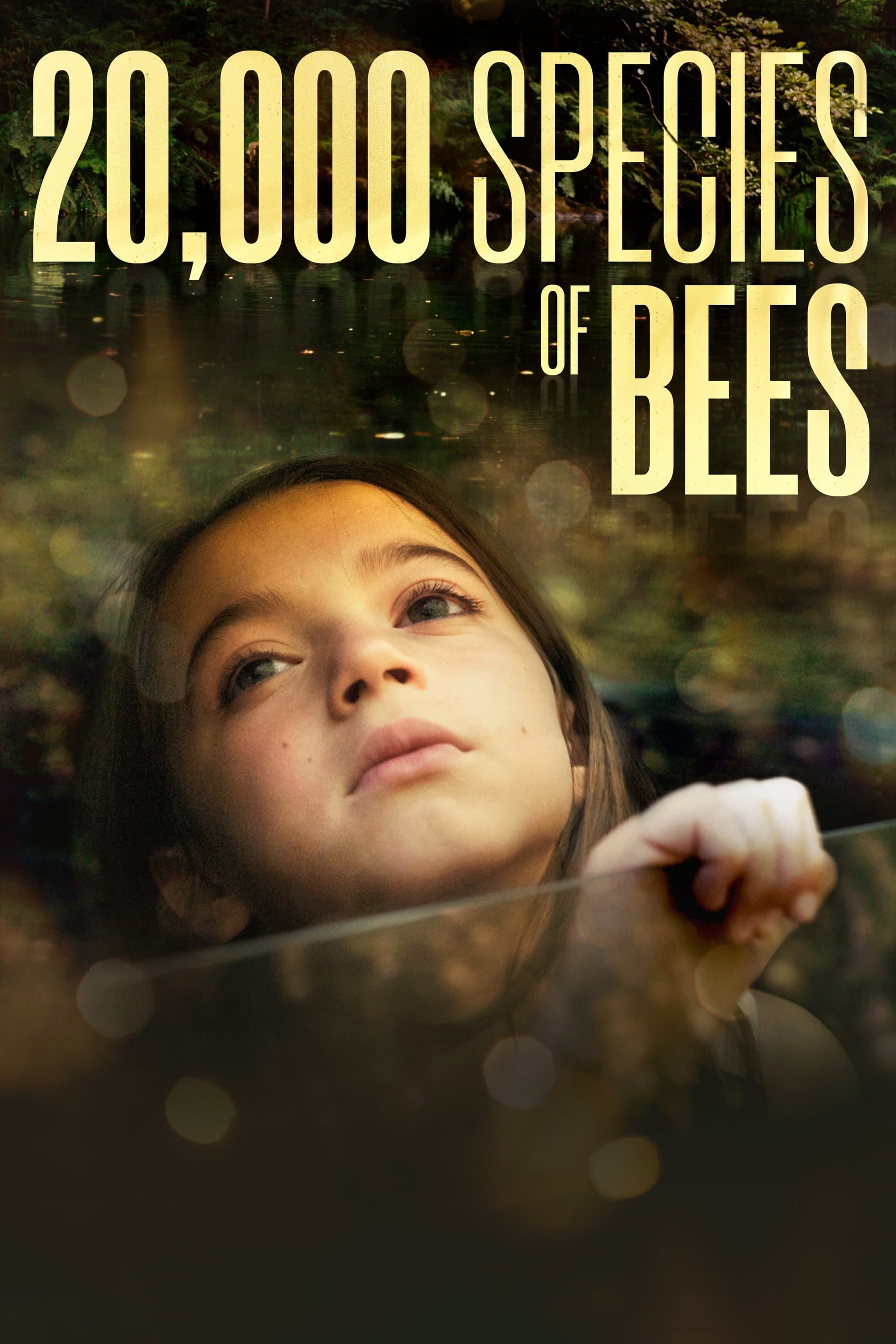 Poster 20,000 Species of Bees