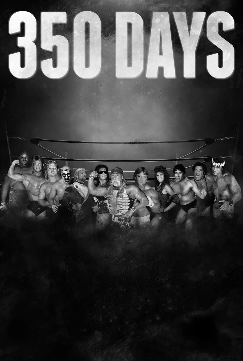 Poster 350 Days