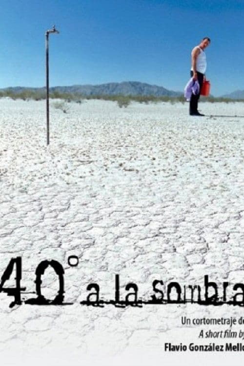 Poster 40°C In The Shade