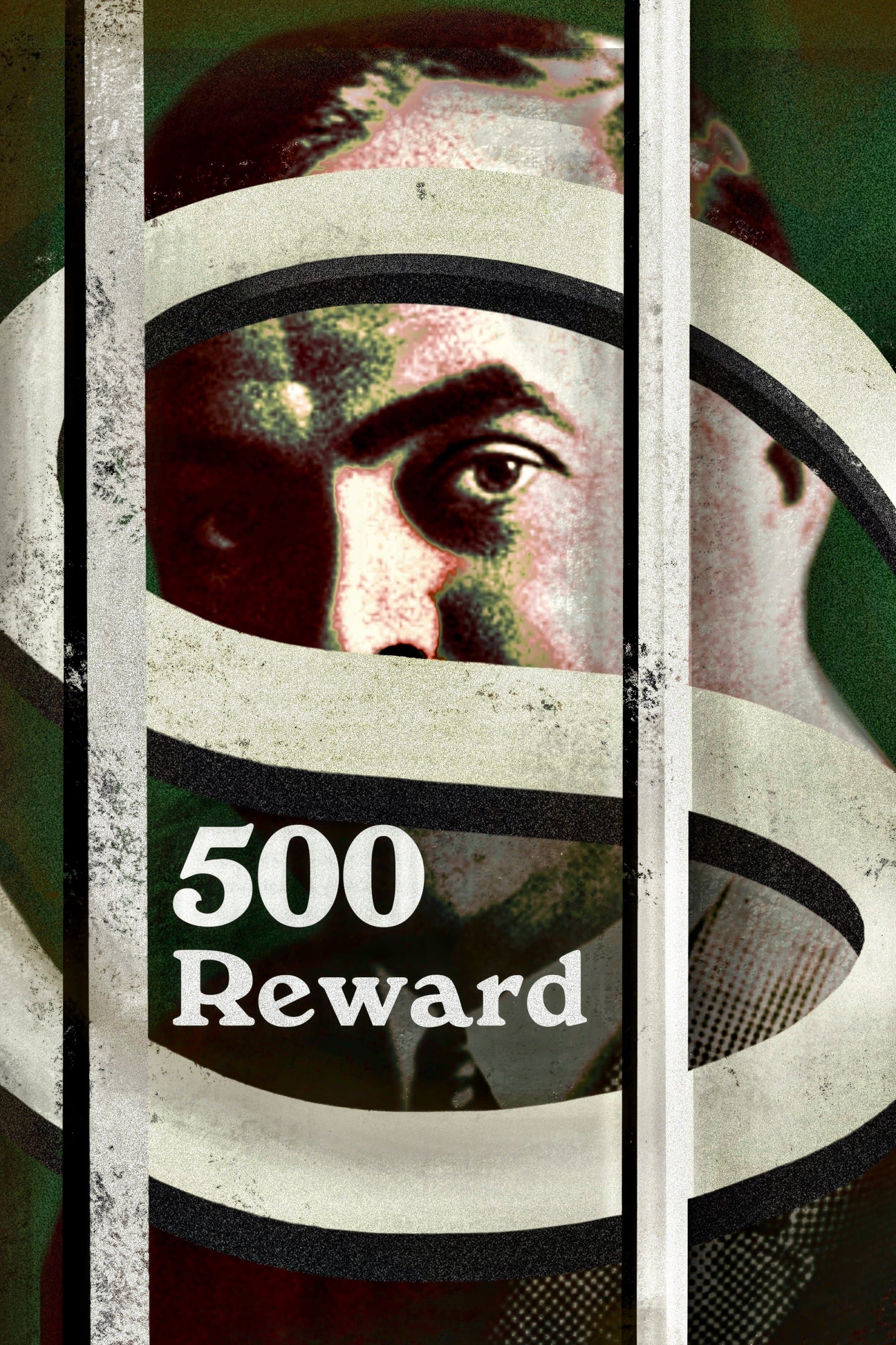 Poster $500 Reward