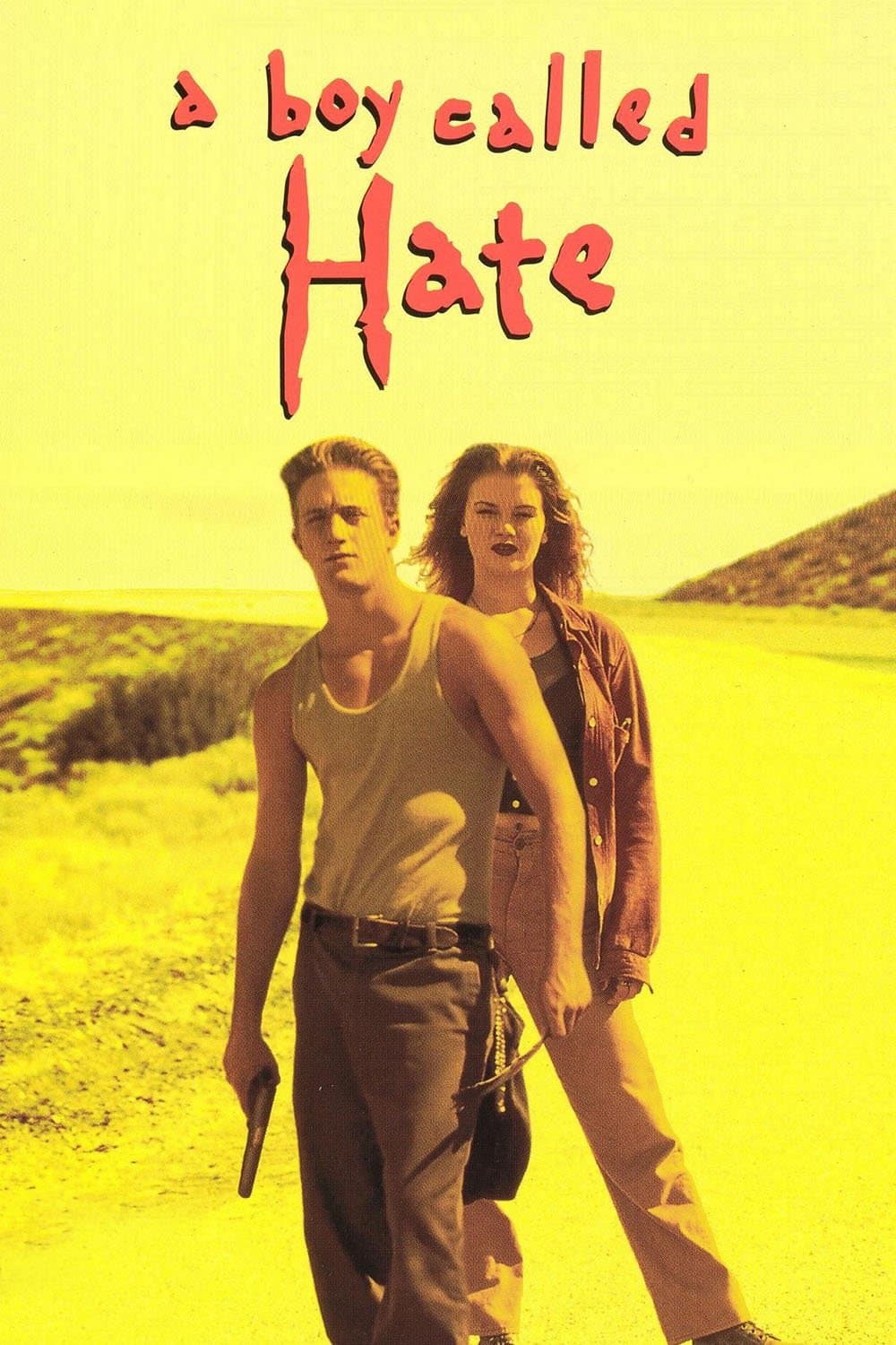 Poster A Boy Called Hate