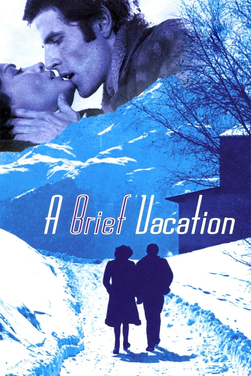Poster A Brief Vacation