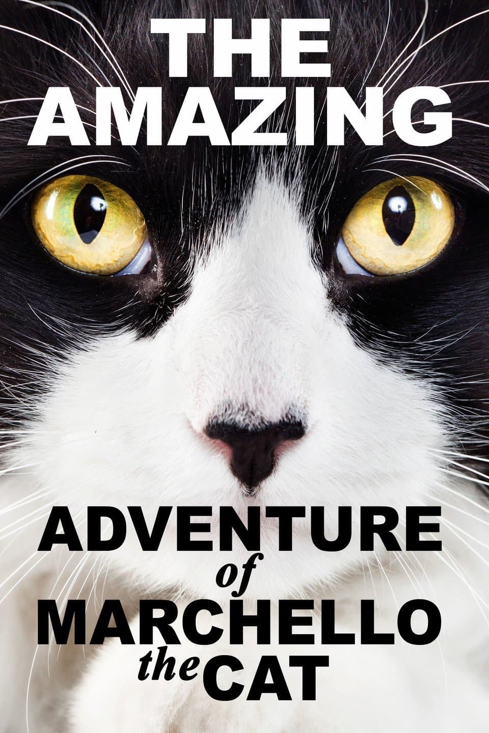 Poster A Cat's Tale