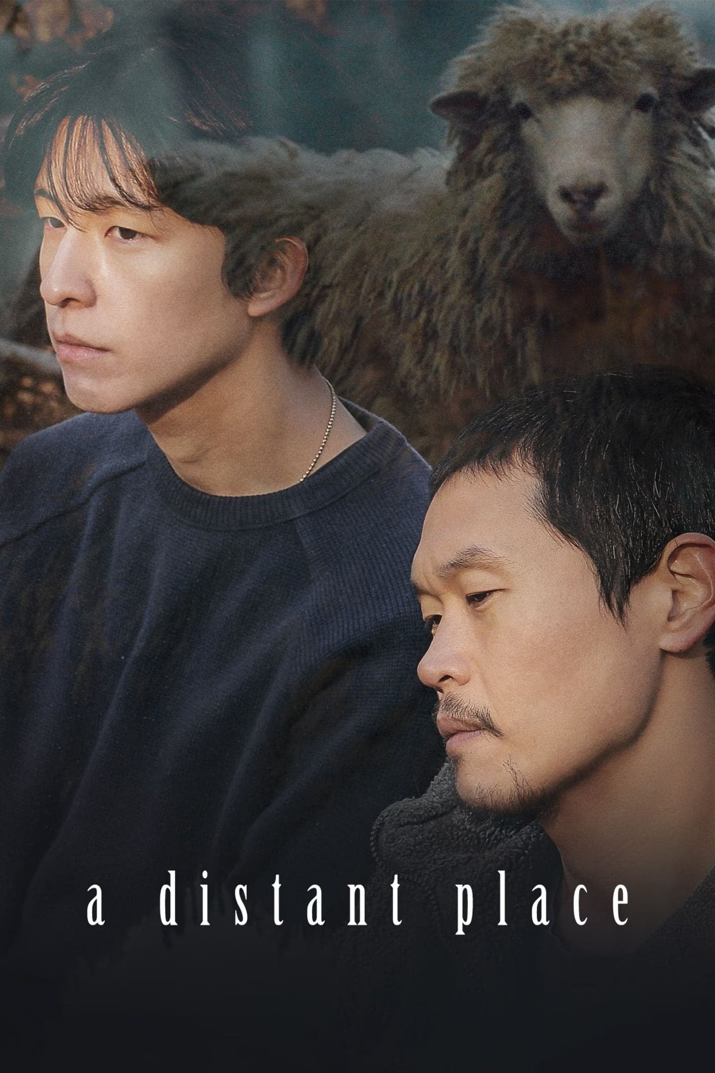 Poster A Distant Place