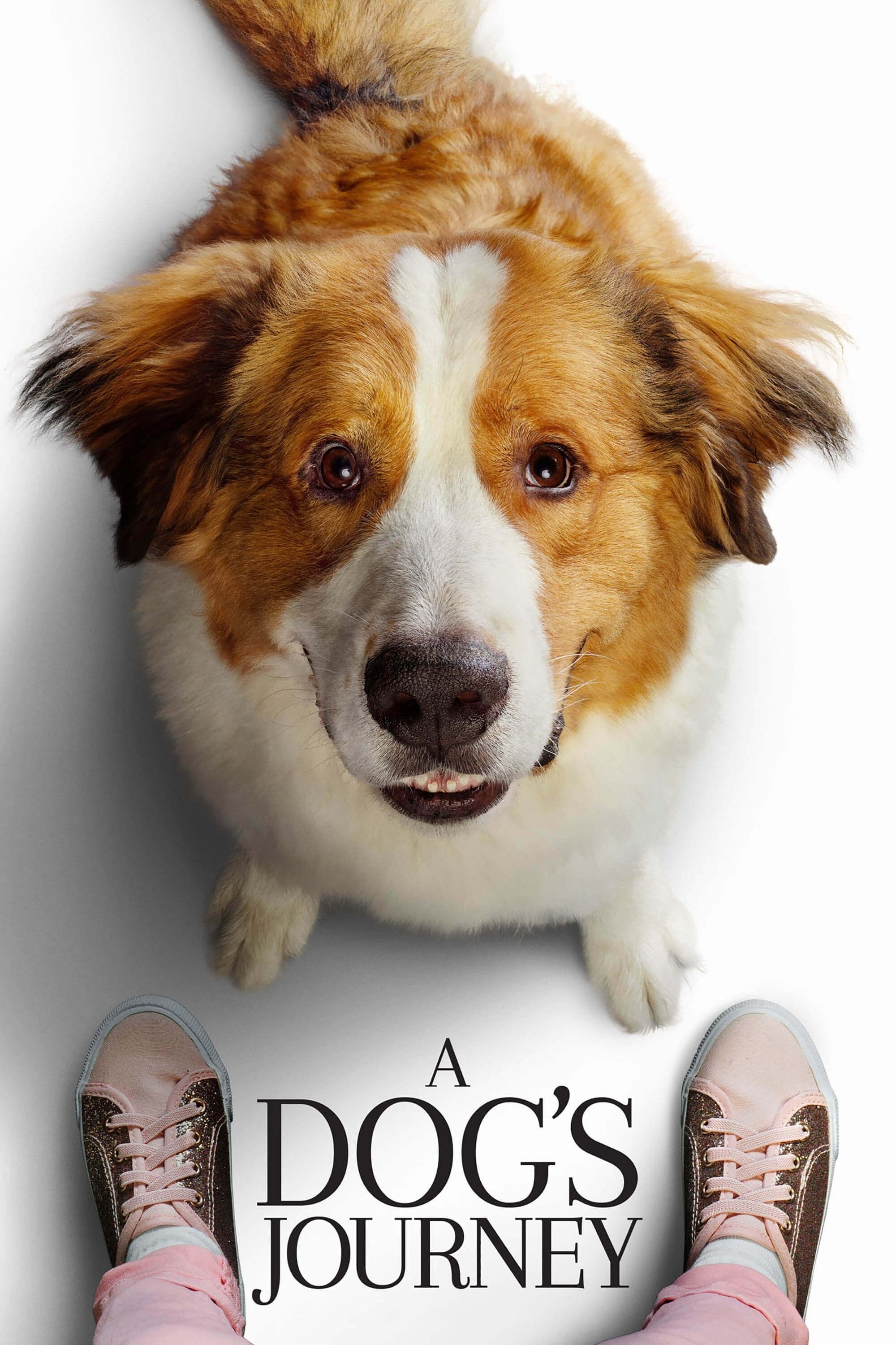 Poster A Dog's Journey