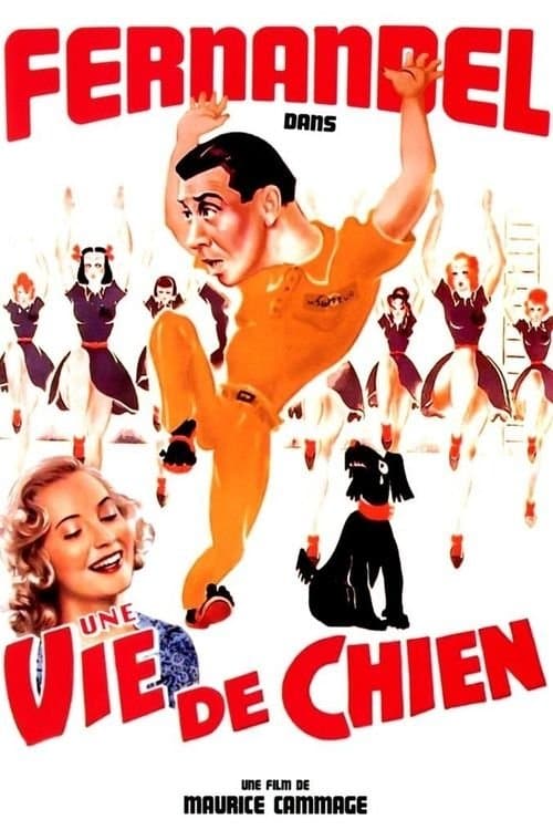 Poster A Dog's Life
