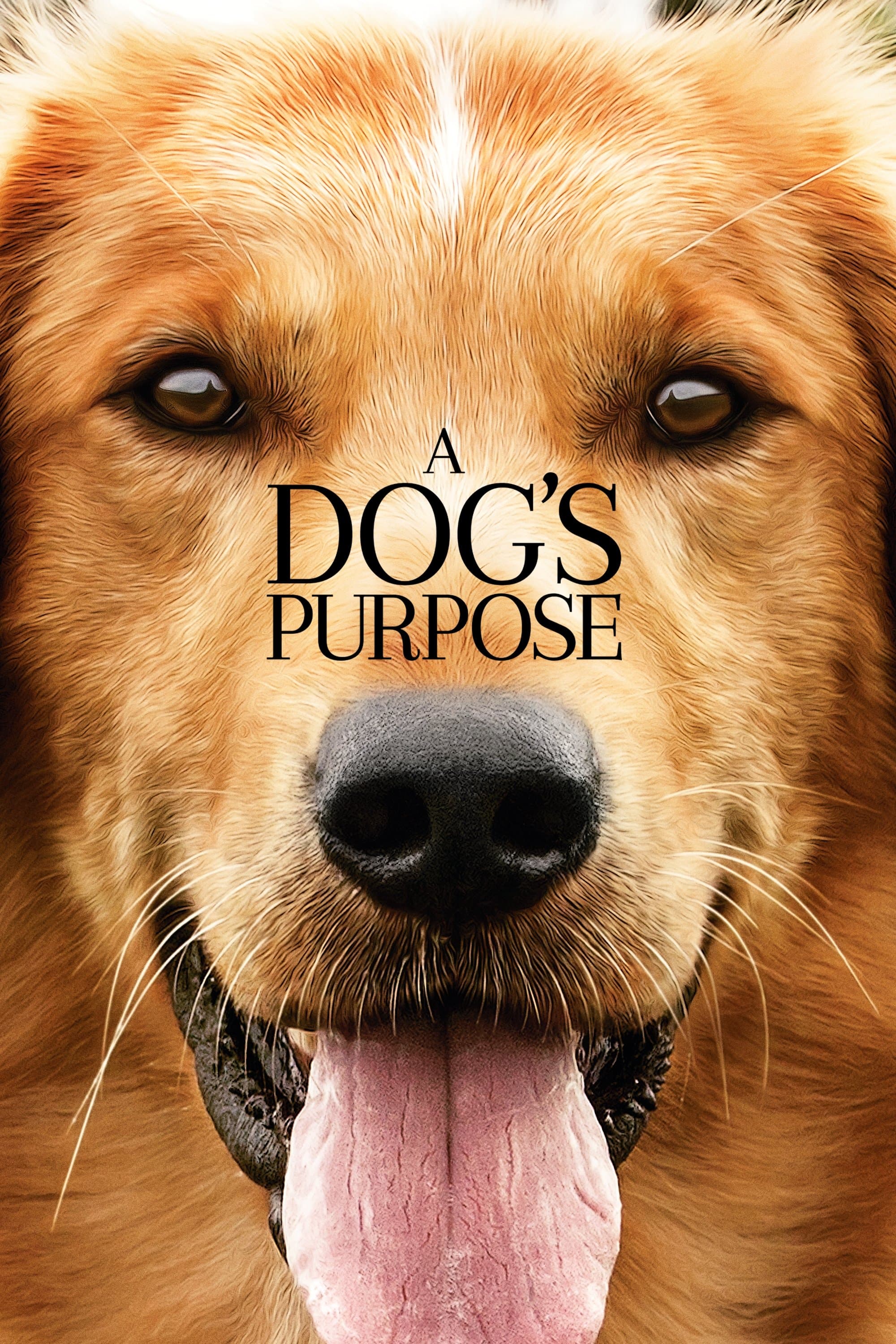 Poster A Dog's Purpose