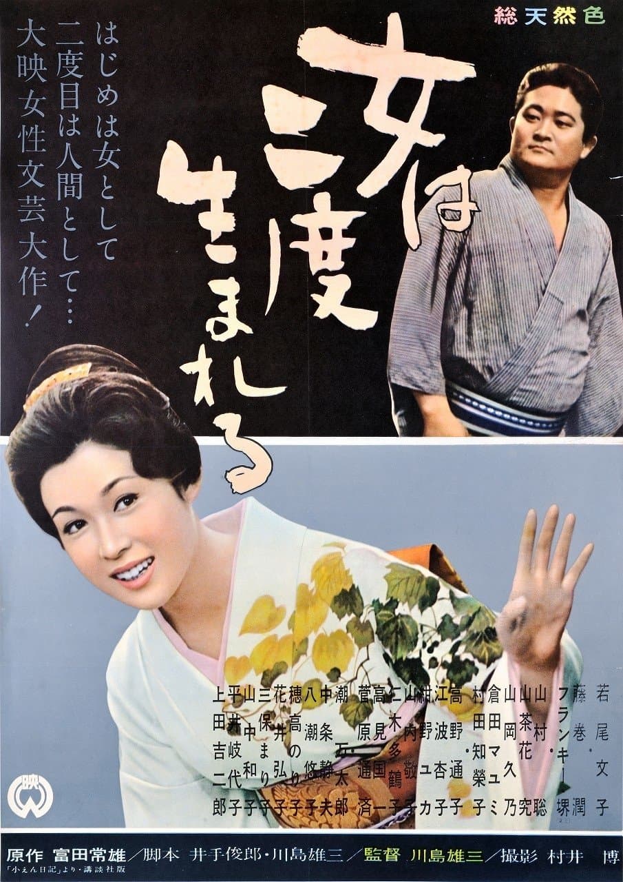 Poster A Geisha's Diary