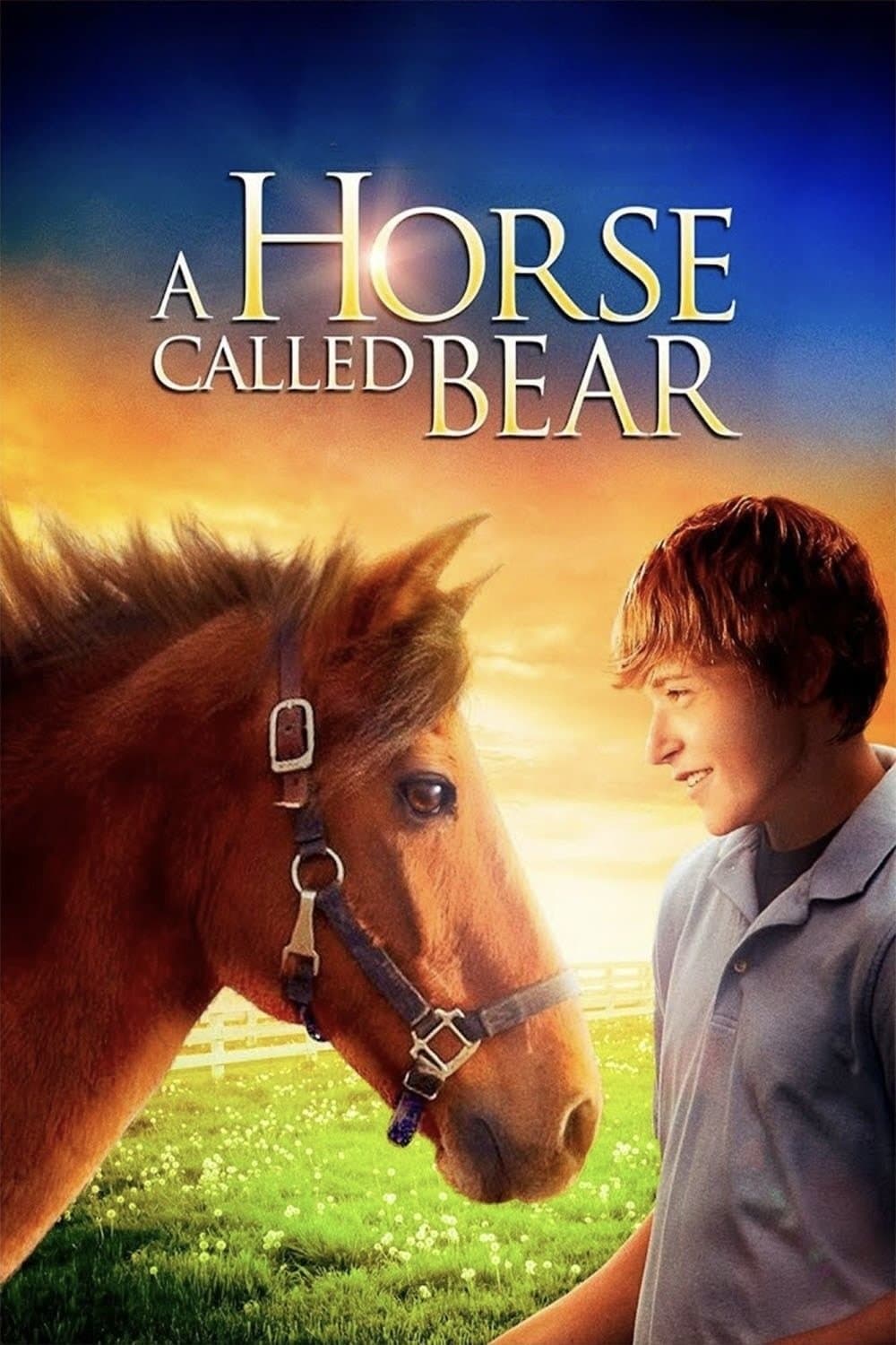 Poster A Horse Called Bear