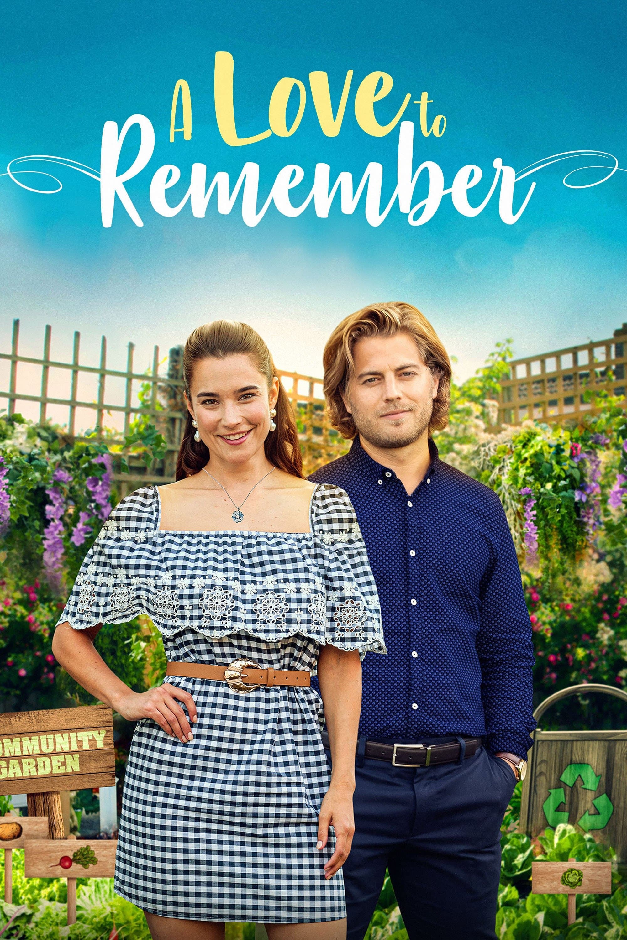 Poster A Love to Remember