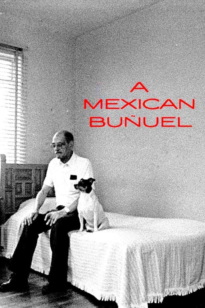 Poster A Mexican Buñuel