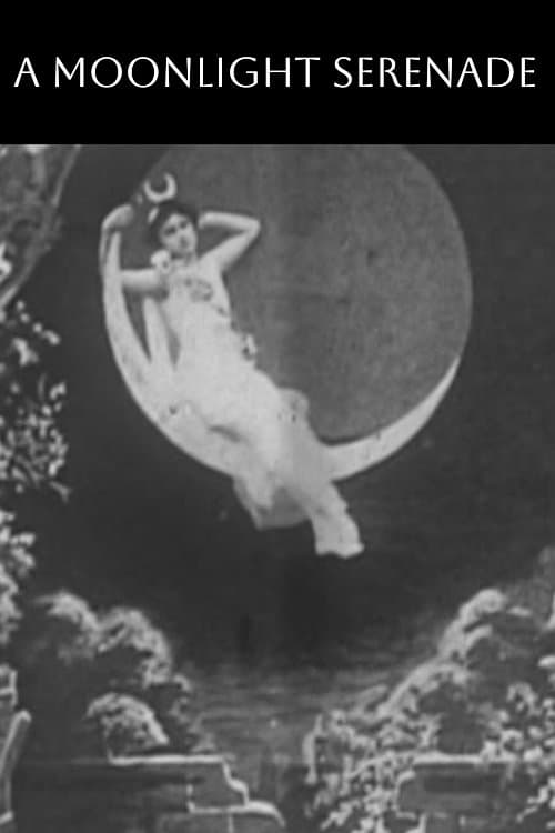 Poster A Moonlight Serenade
