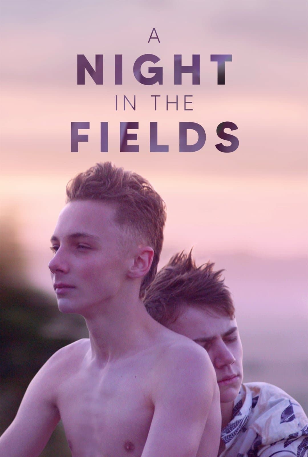Poster A Night in the Fields