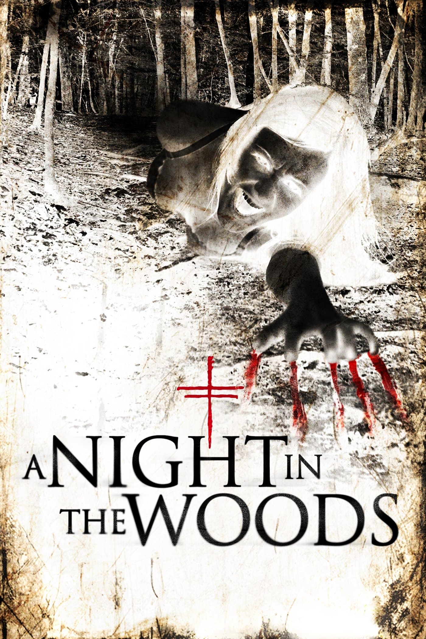 Poster A Night in the Woods