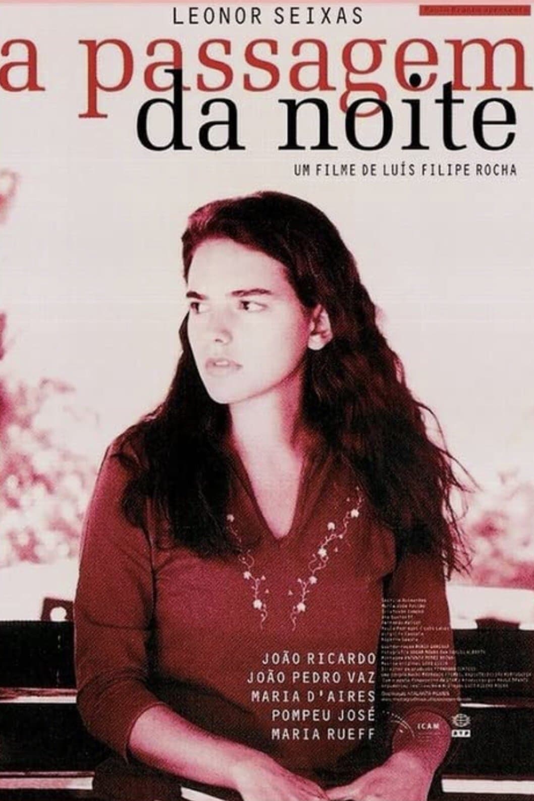 Poster A Passagem da Noite