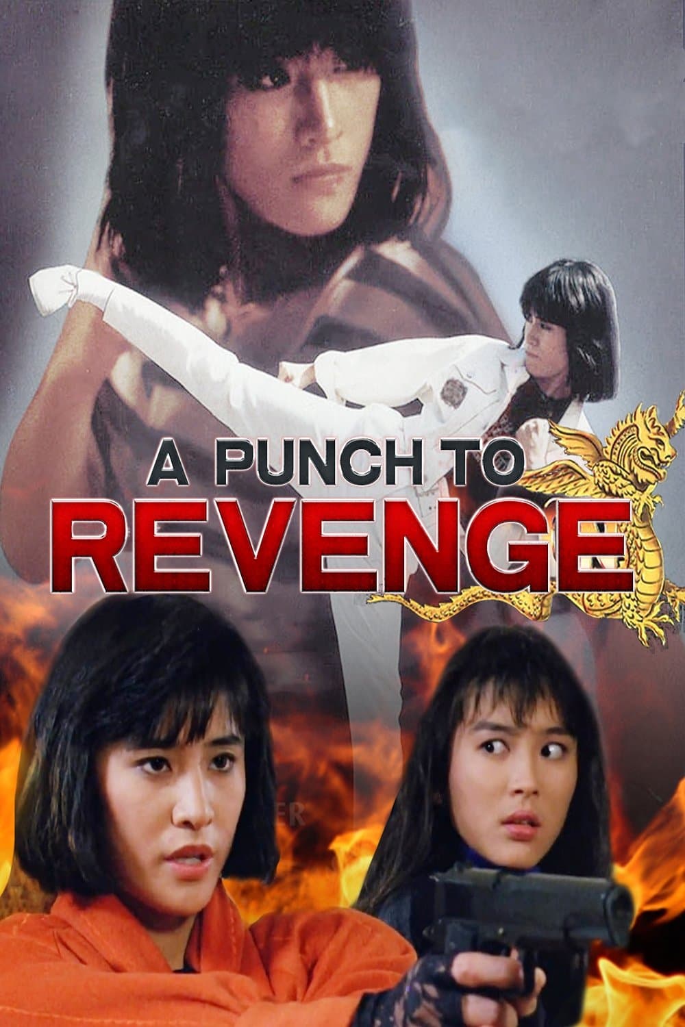 Poster A Punch to Revenge