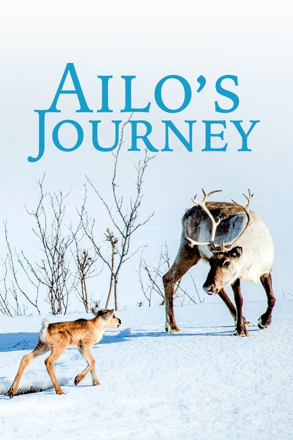 Poster A Reindeer's Journey