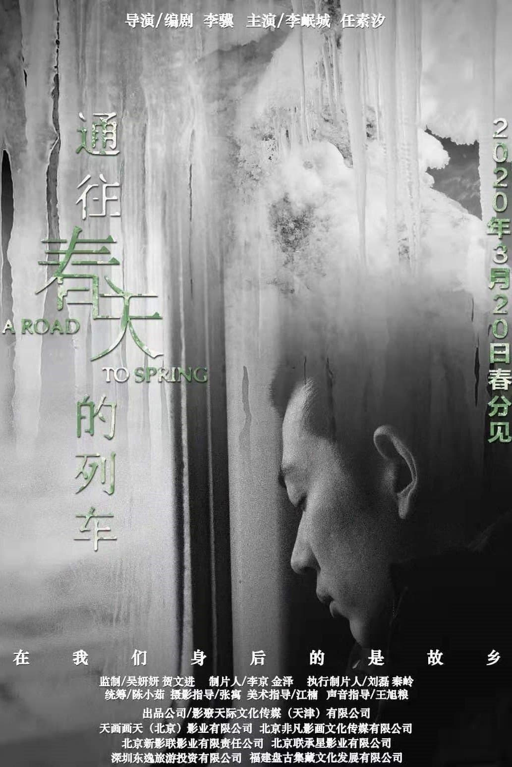 Poster A Road To Spring