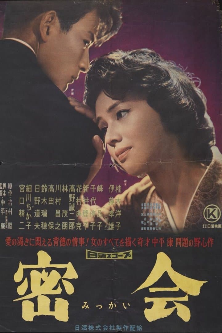Poster A Secret Rendezvous