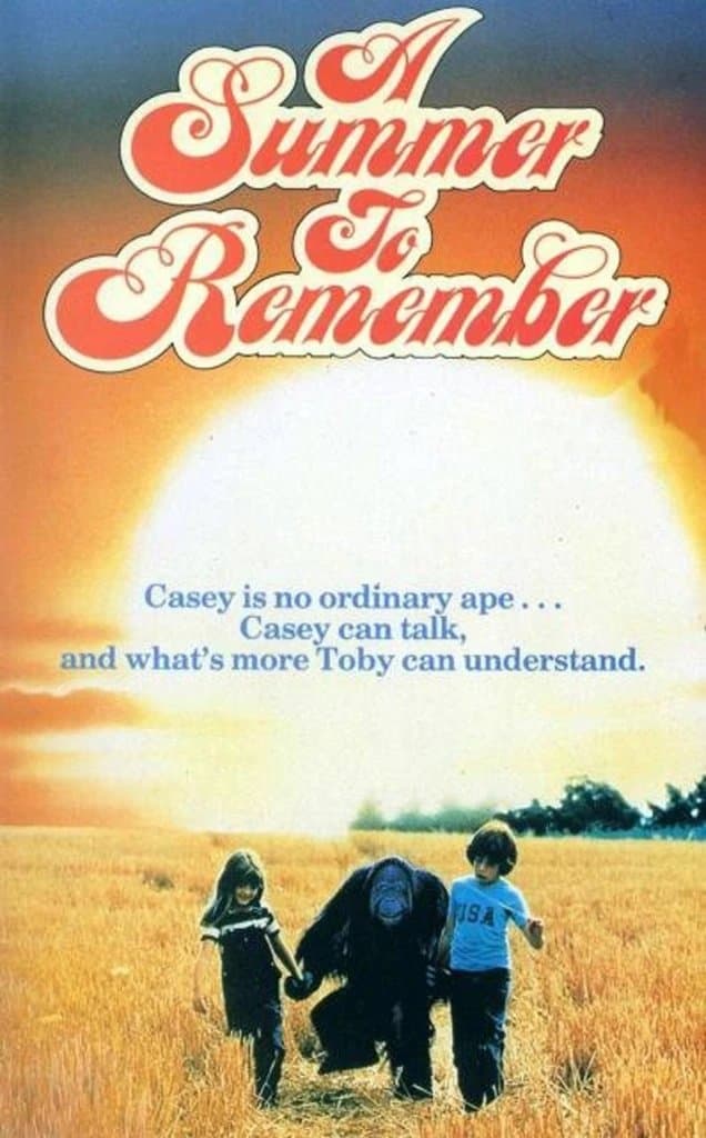 Poster A Summer to Remember