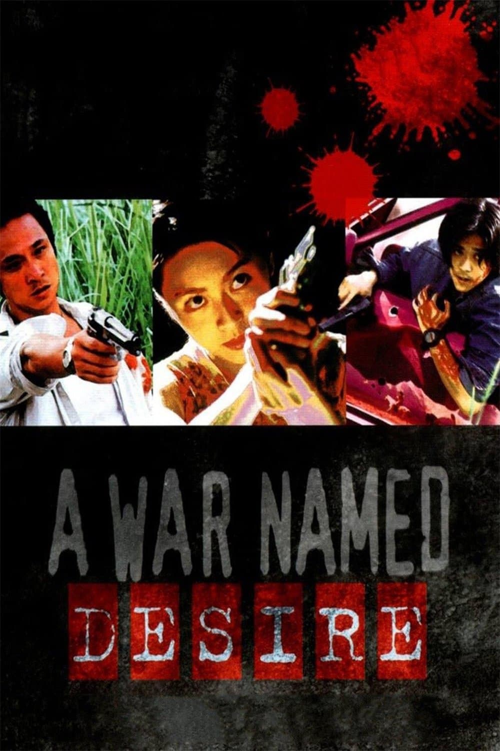 Poster A War Named Desire