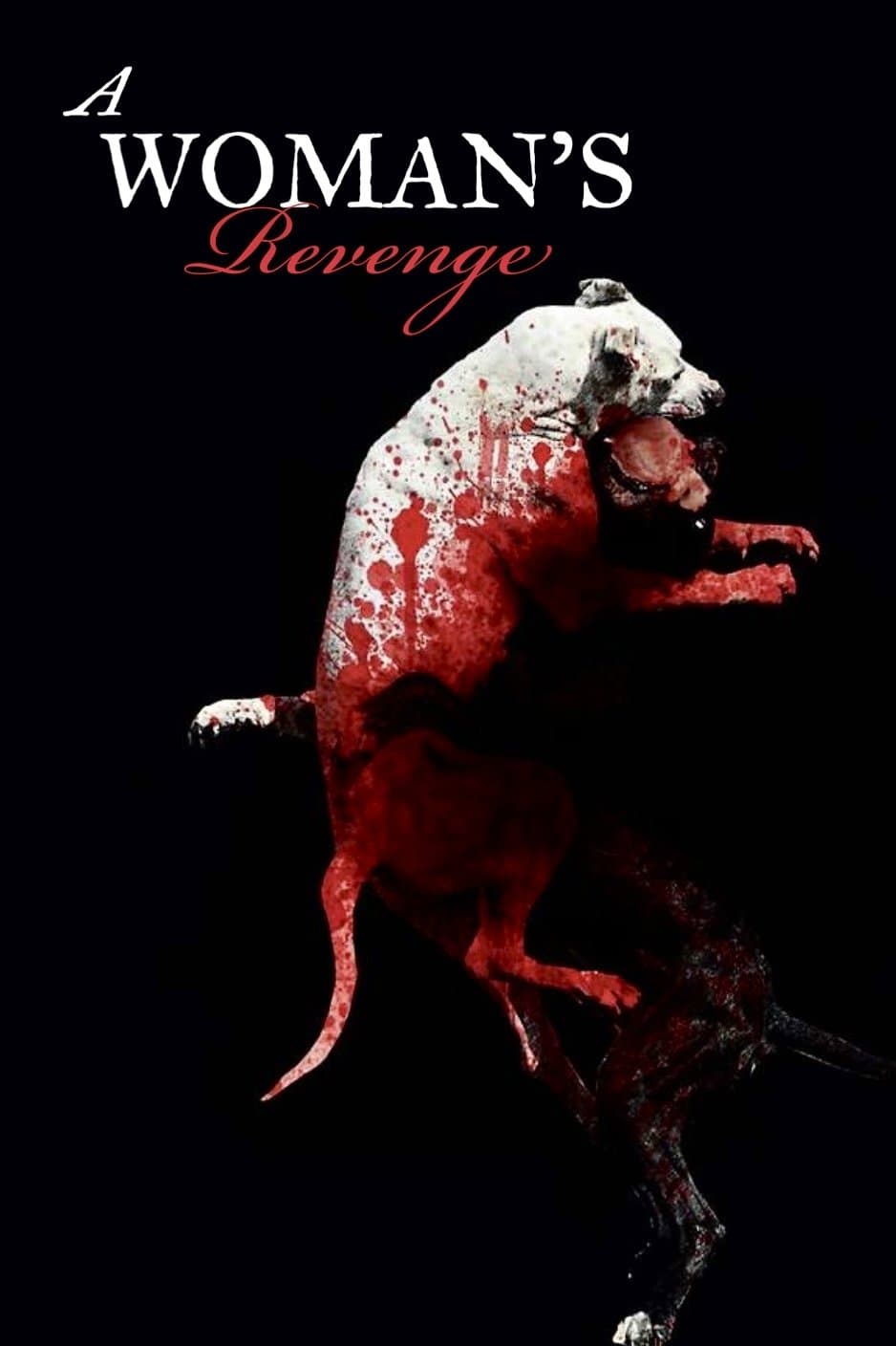 Poster A Woman's Revenge