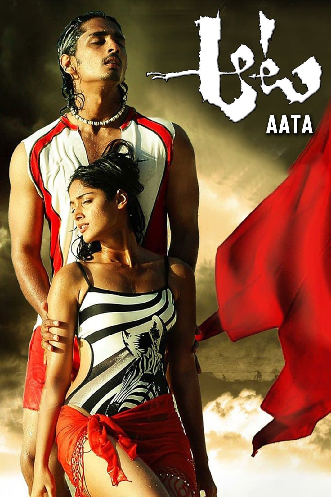 Poster Aata