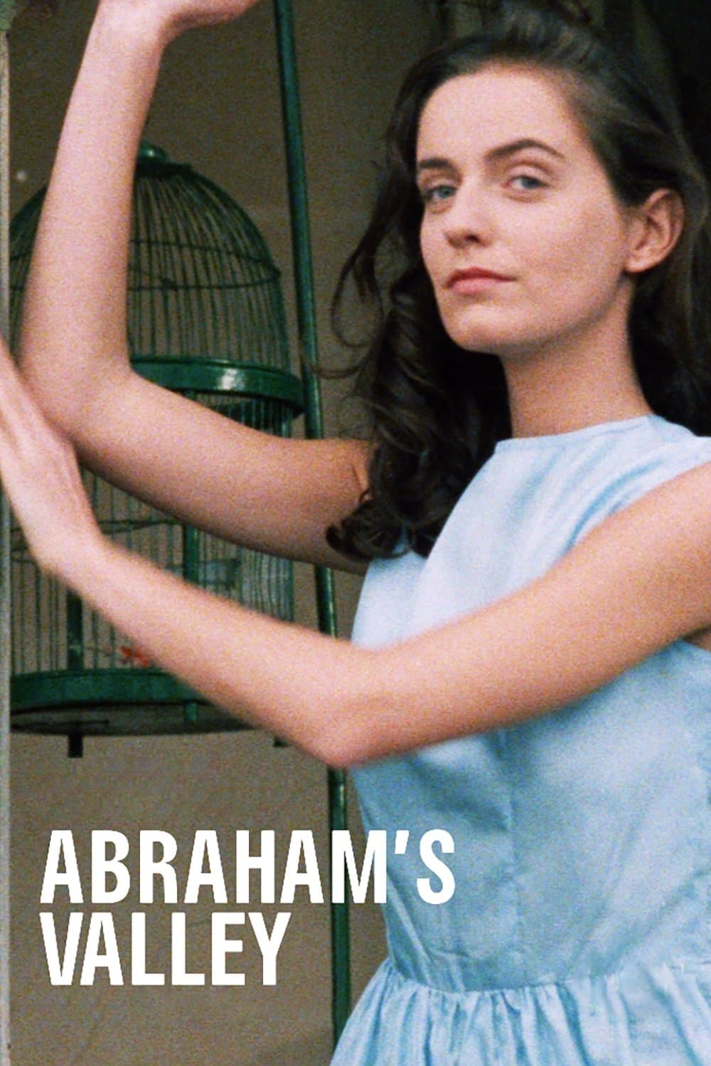 Poster Abraham's Valley