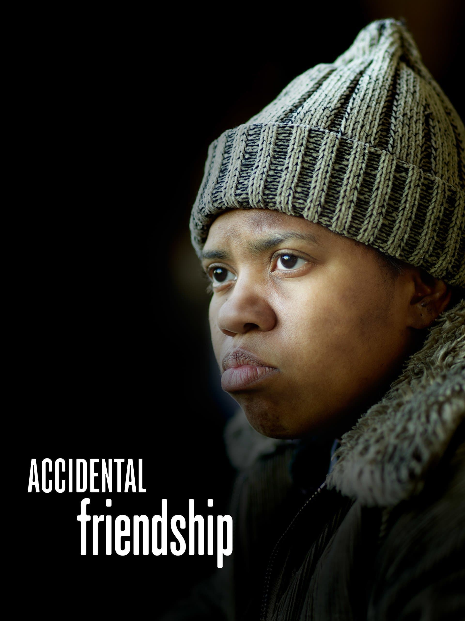 Poster Accidental Friendship