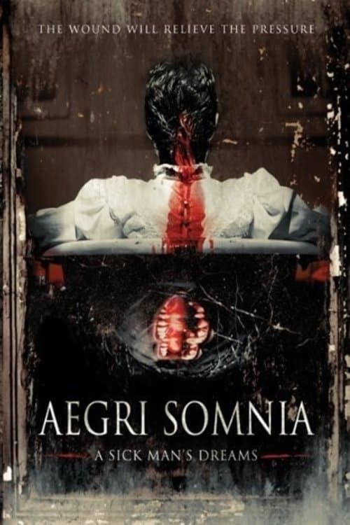 Poster Aegri Somnia