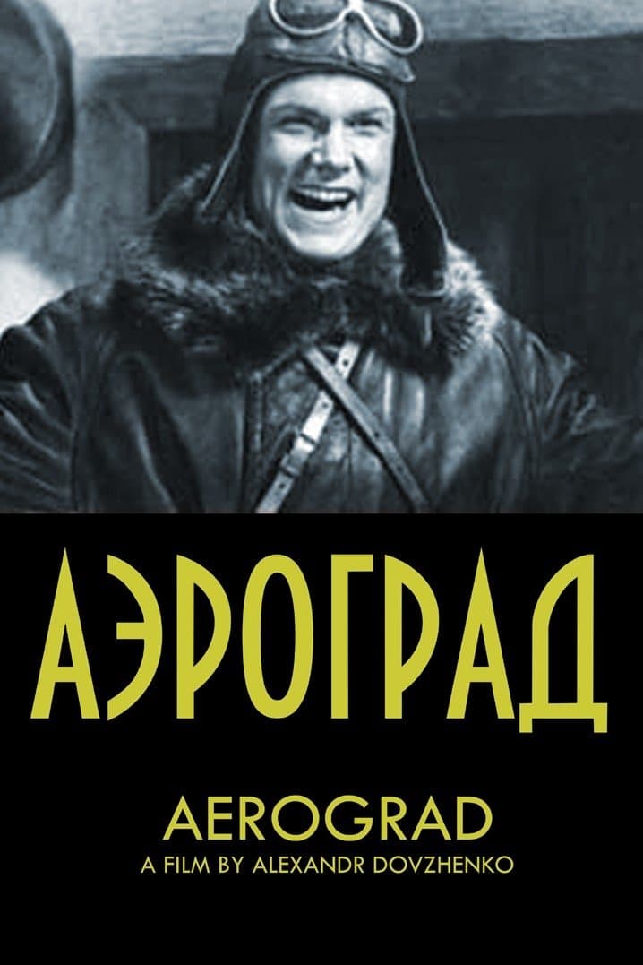 Poster Aerograd
