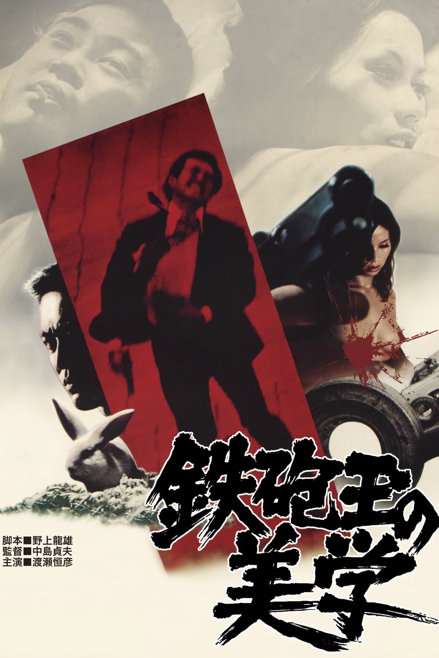 Poster Aesthetics of a Bullet