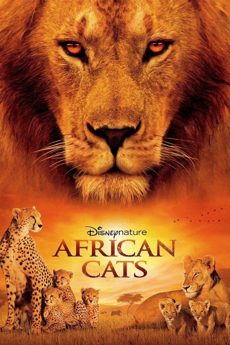 Poster African Cats