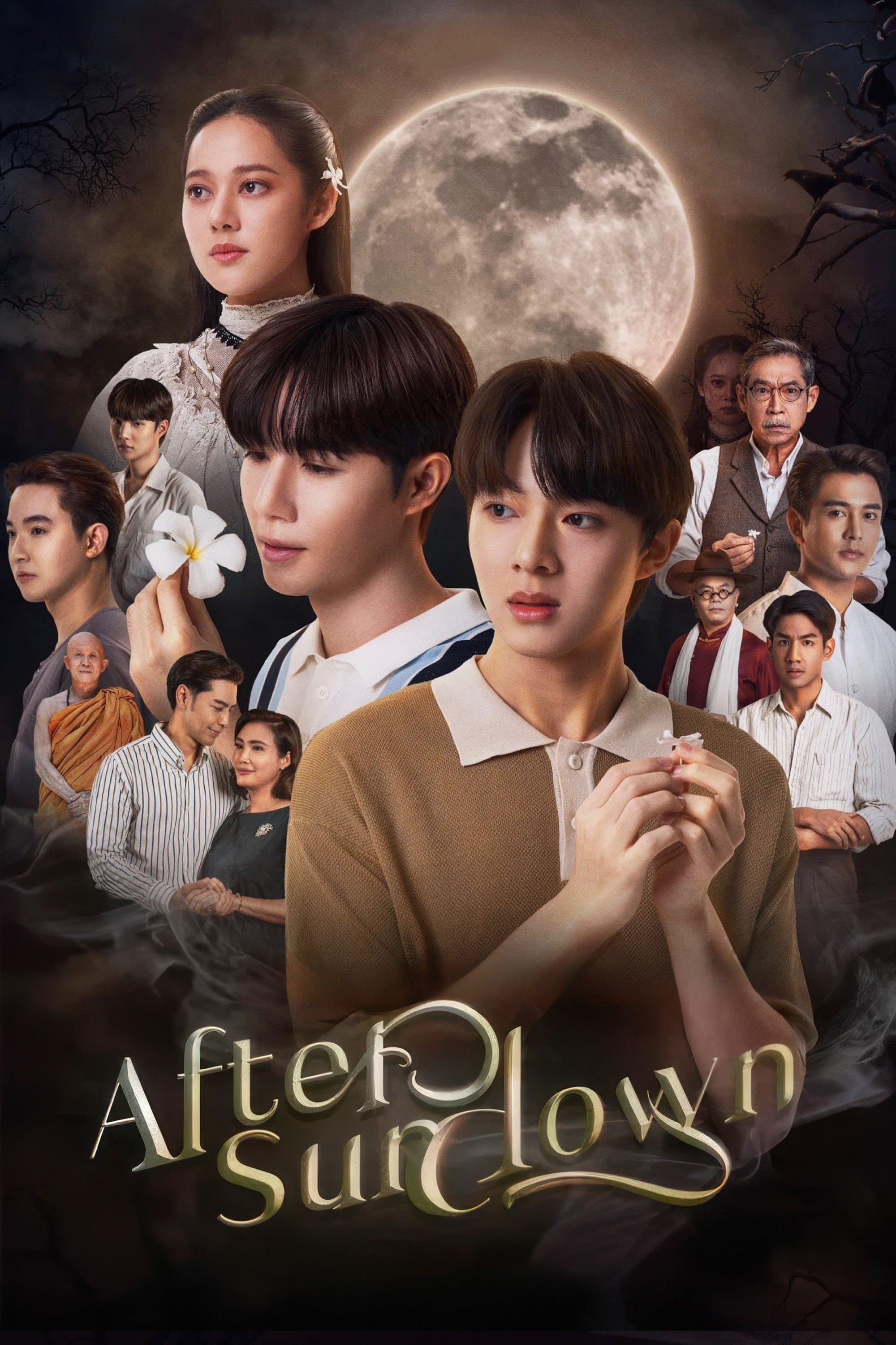 Poster After Sundown