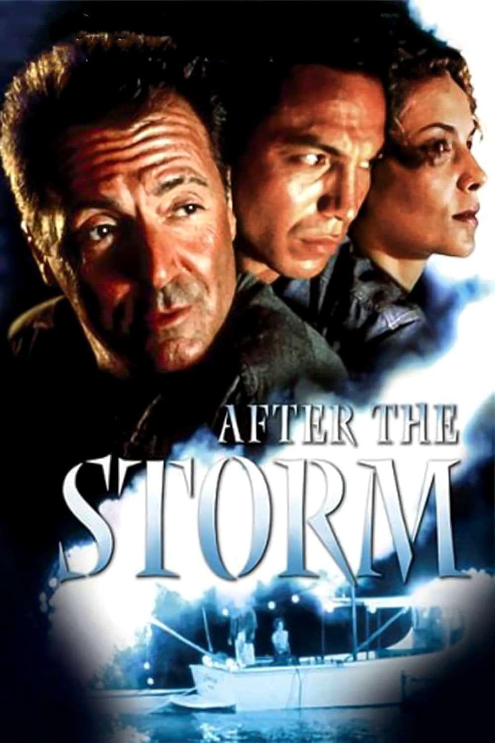 Poster After the Storm