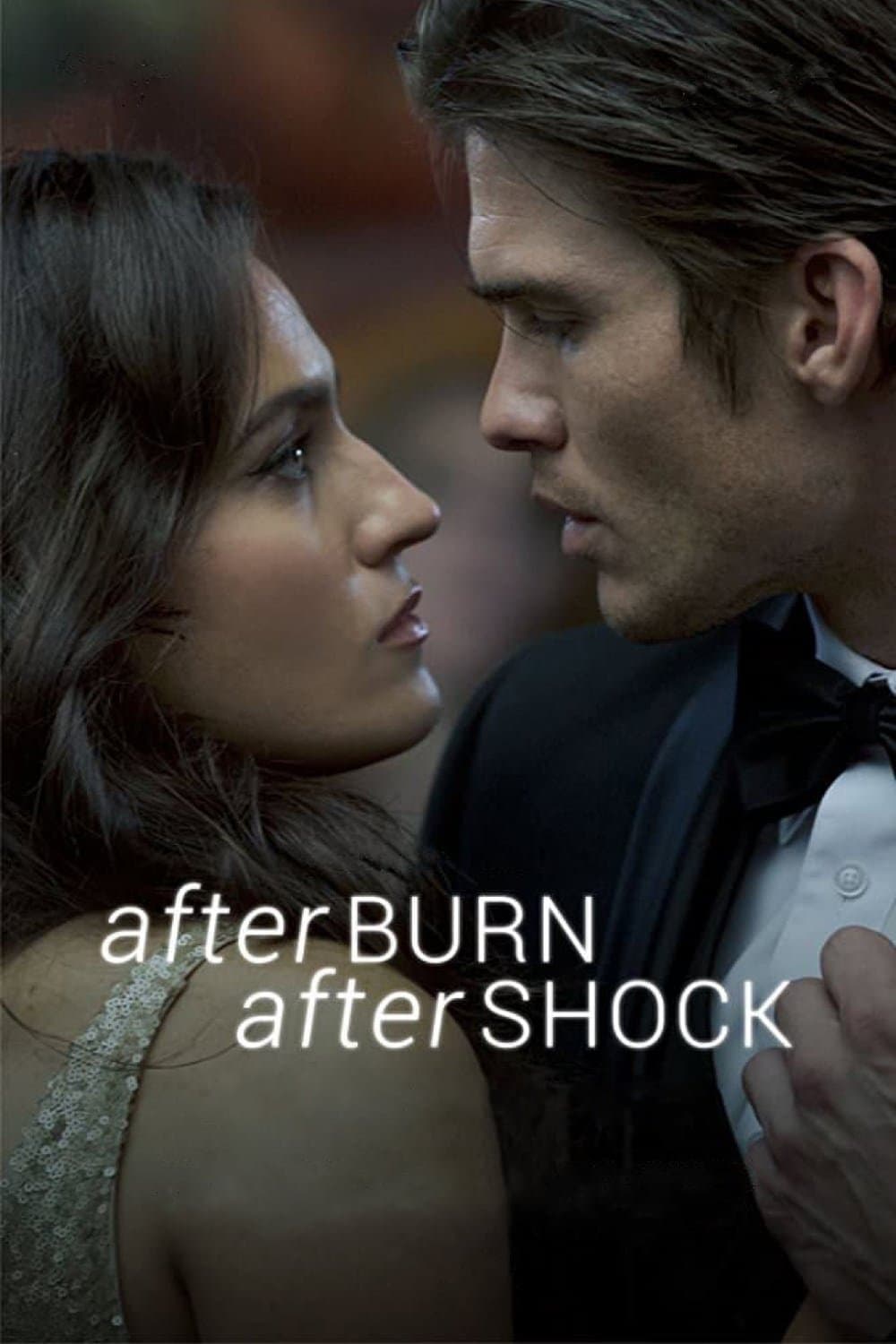Poster Afterburn/Aftershock