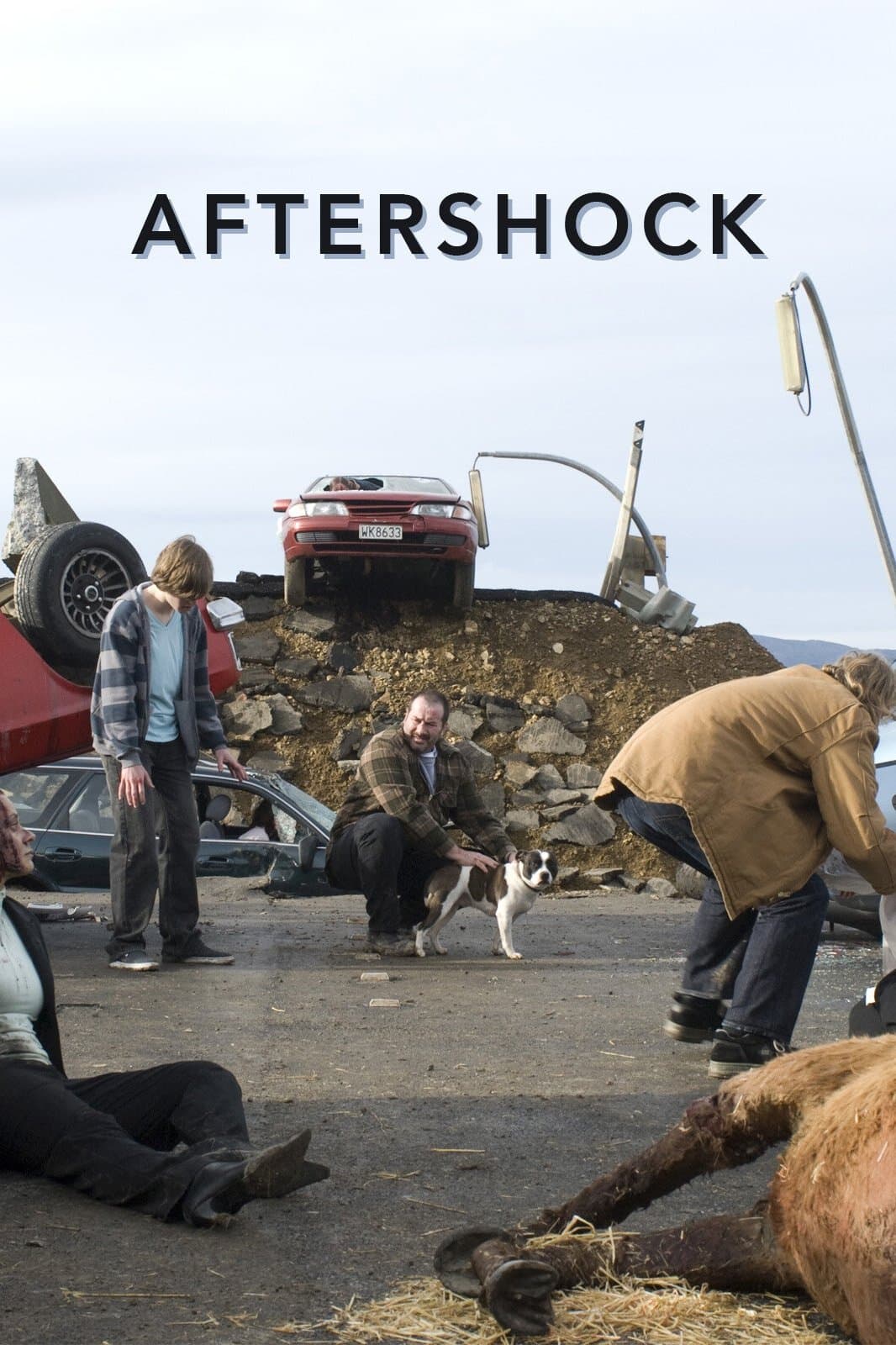 Poster Aftershock