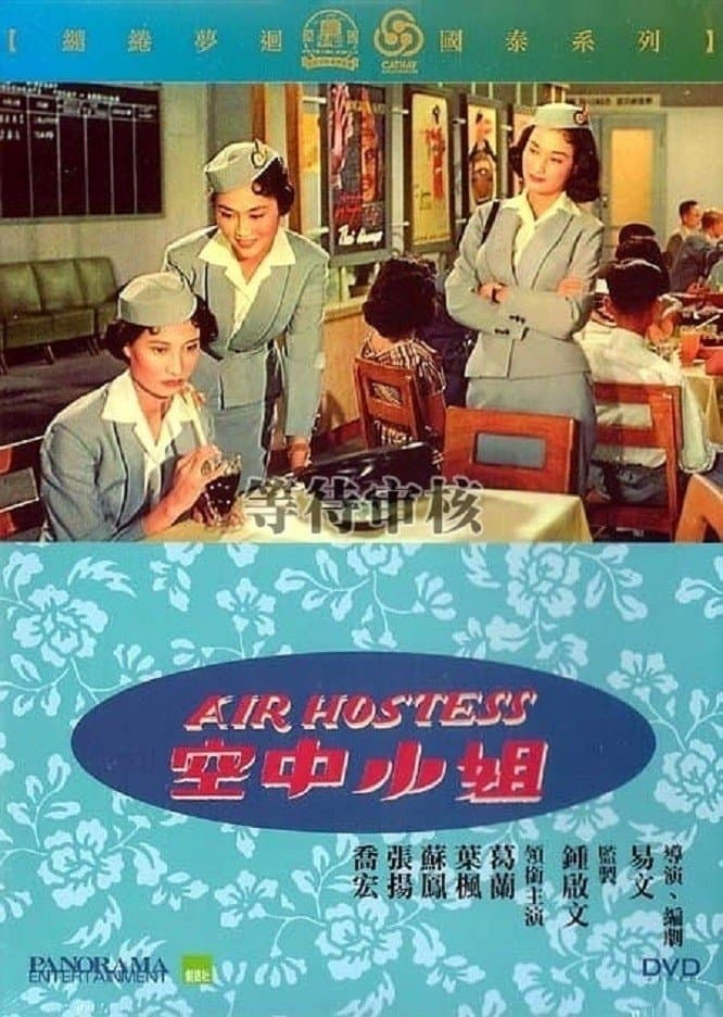 Poster Air Hostess