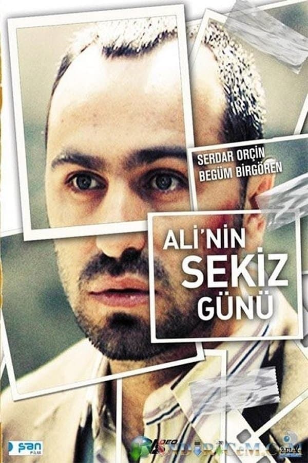 Poster Ali's Eight Days