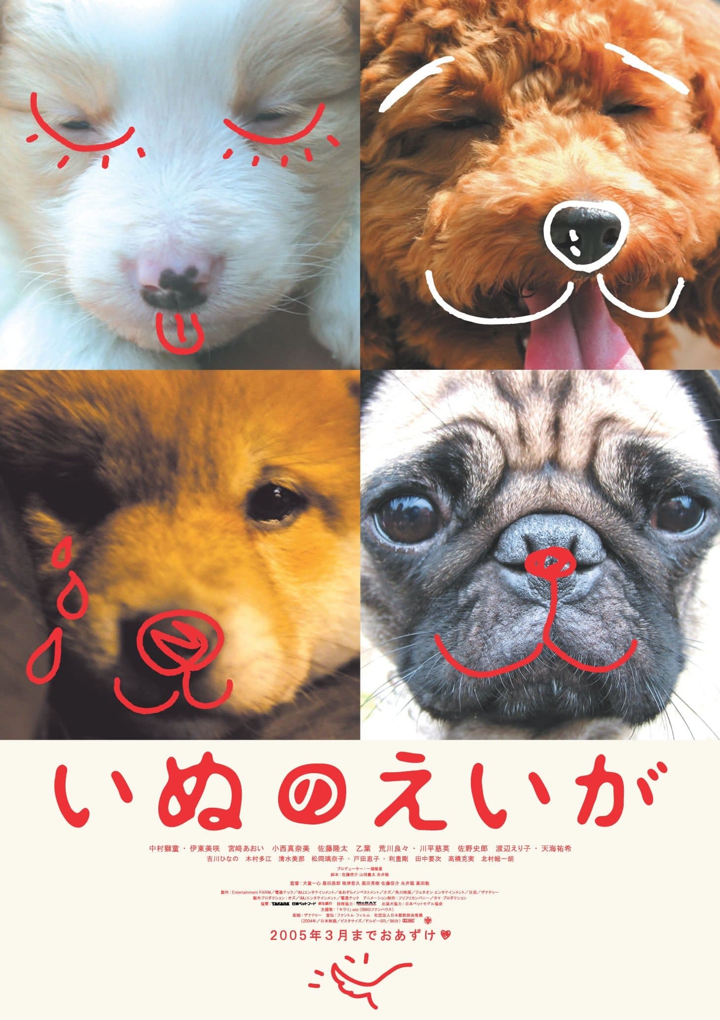 Poster All About My Dog