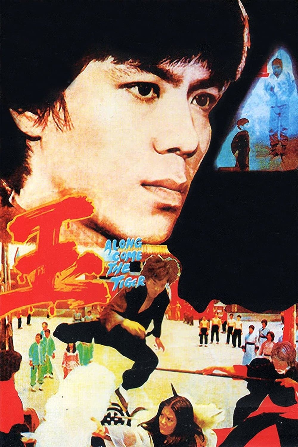 Poster Along Comes a Tiger