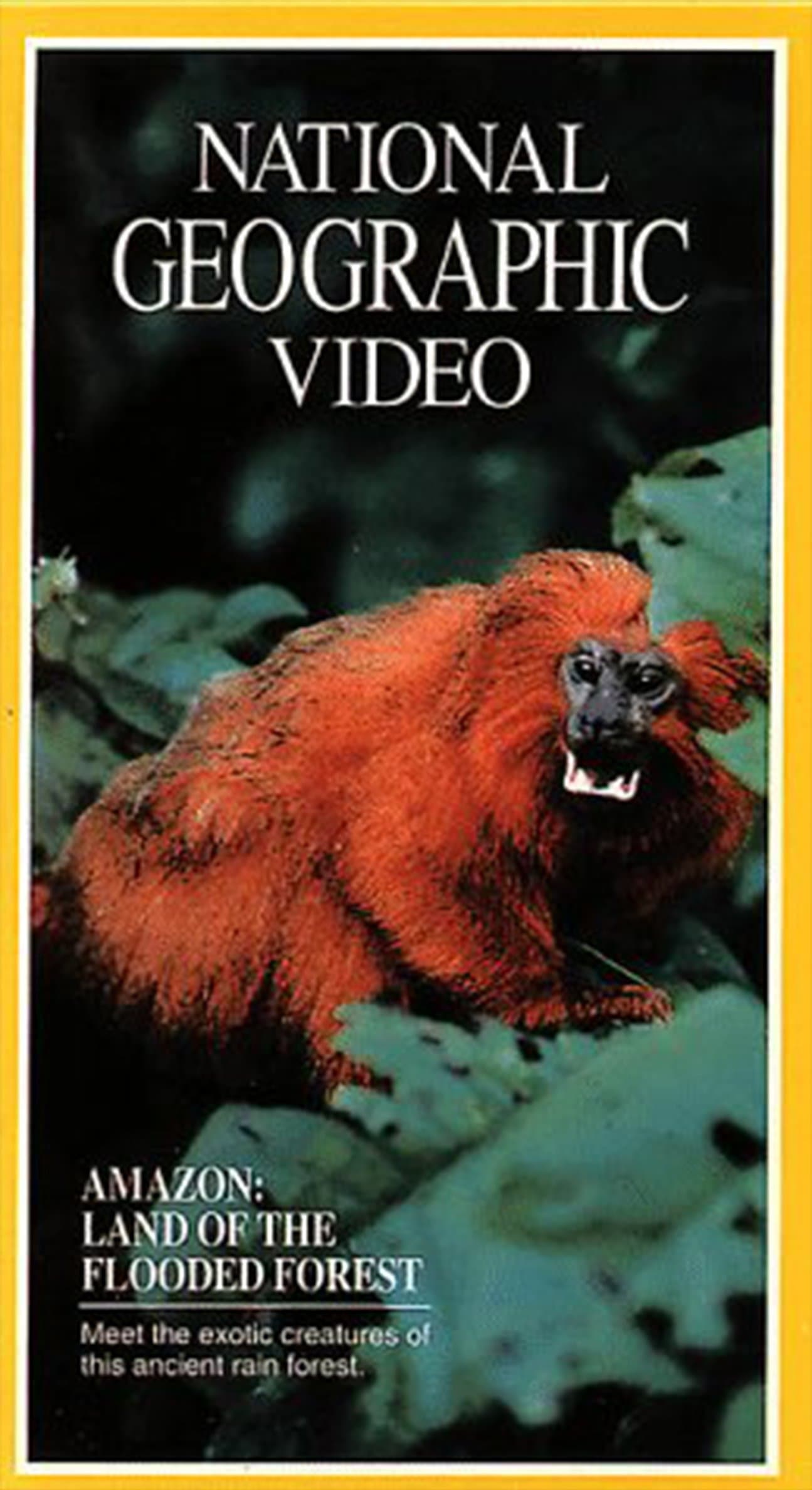 Poster Amazon: Land of the Flooded Forest