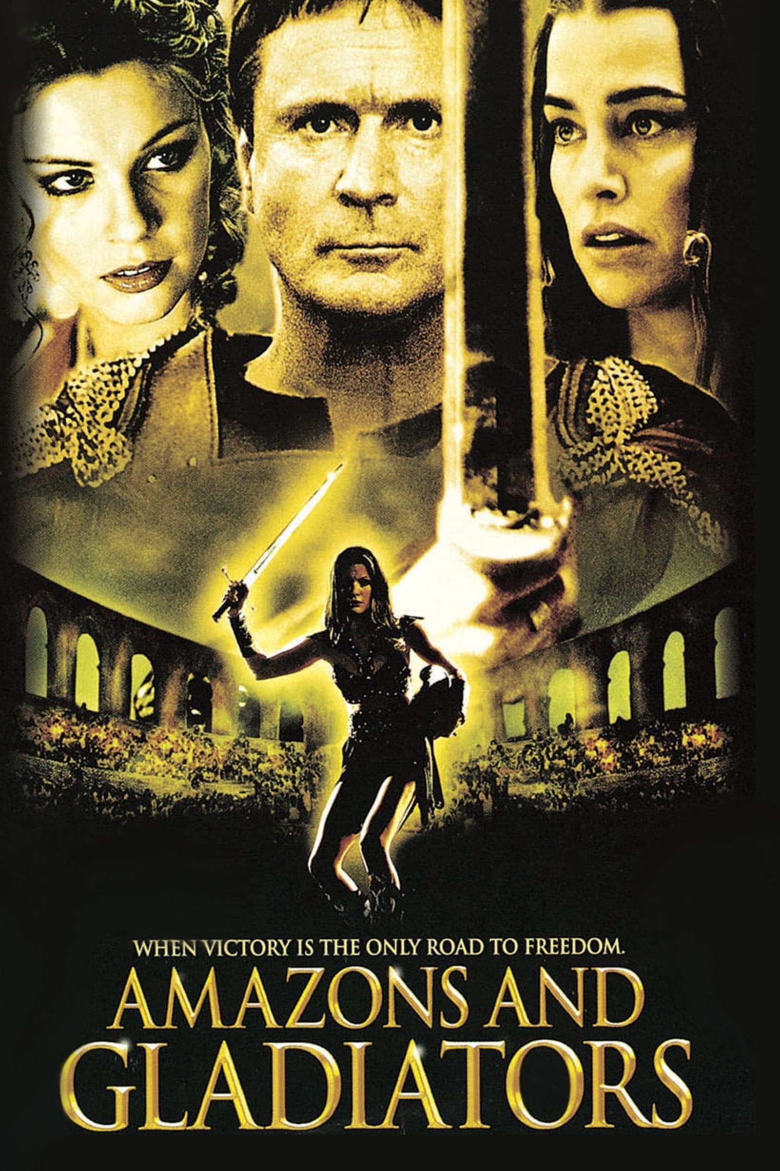 Poster Amazons and Gladiators