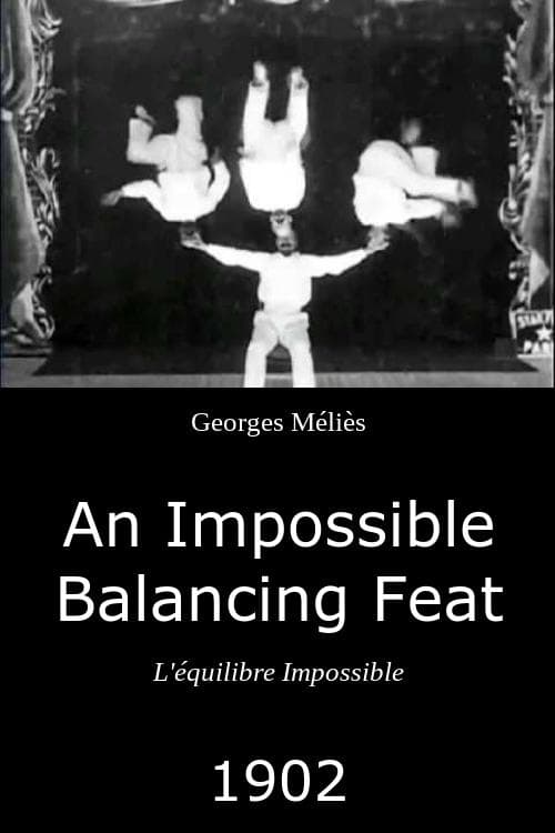 Poster An Impossible Balancing Feat