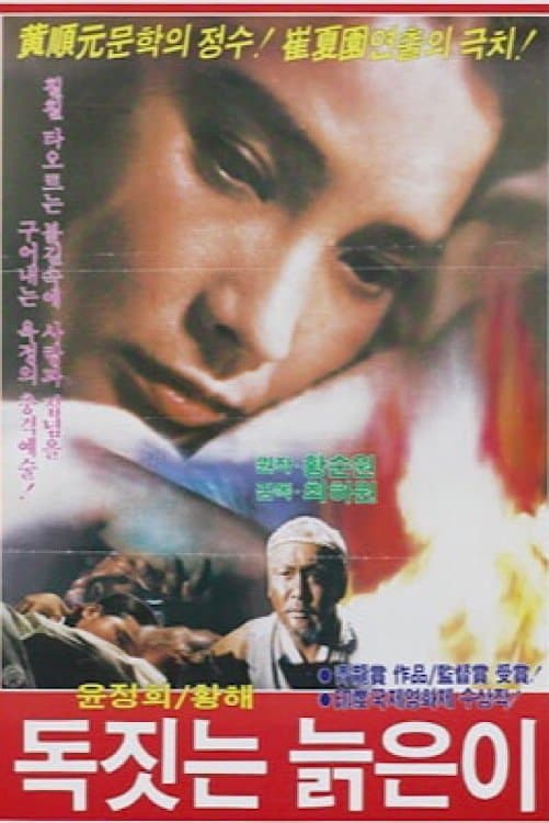 Poster An Old Potter