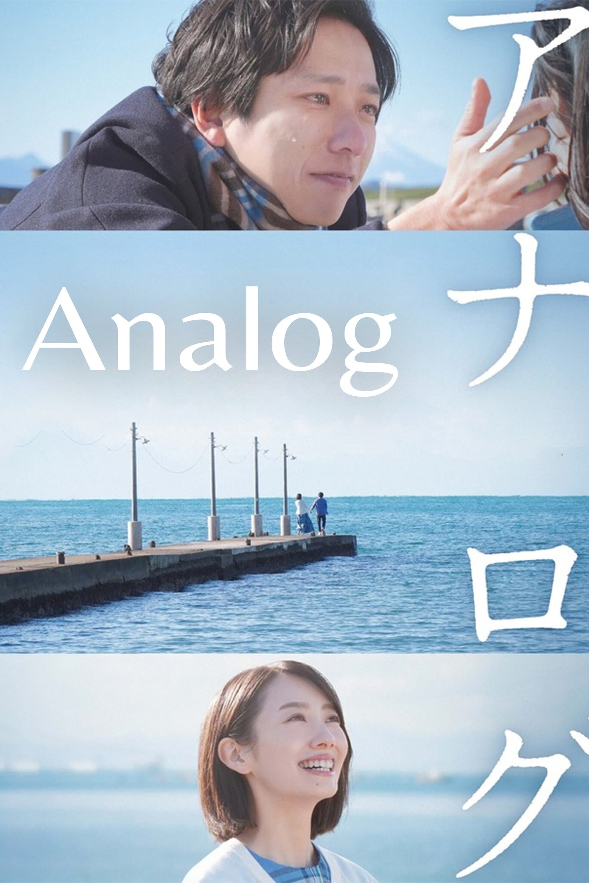 Poster Analog