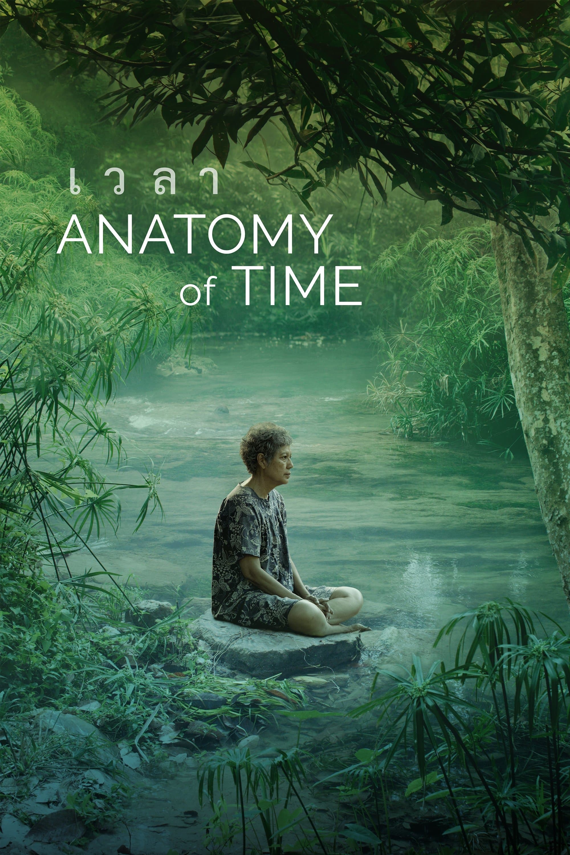Poster Anatomy of Time