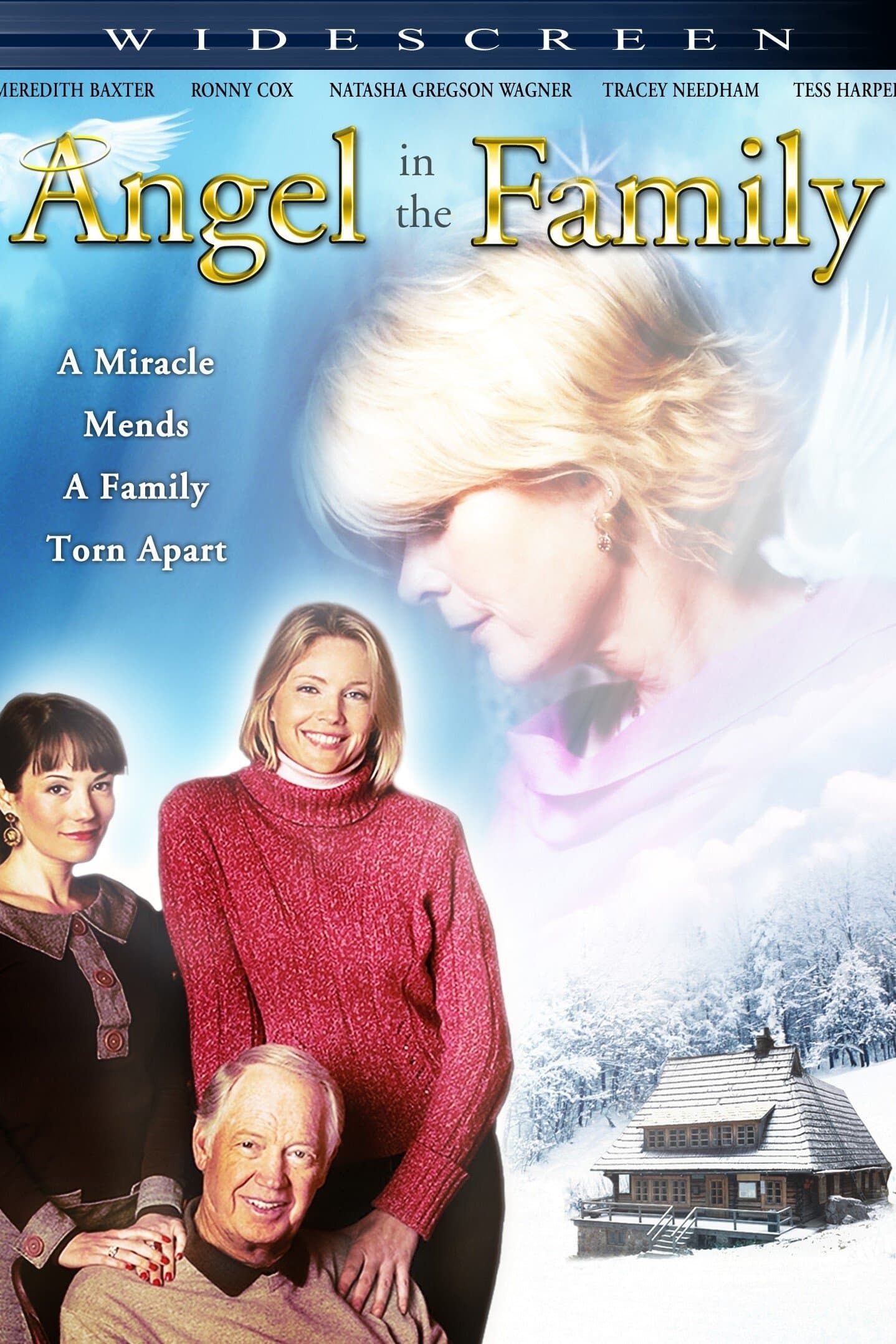 Poster Angel in the Family