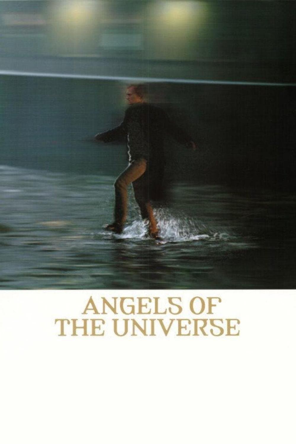 Poster Angels of the Universe